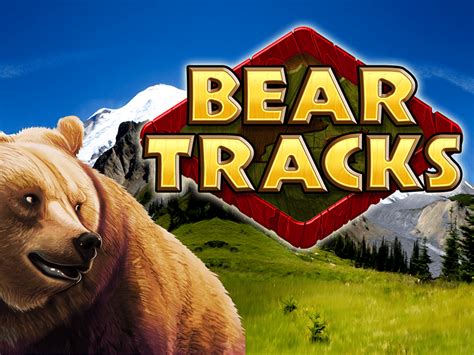 Bear Tracks 3